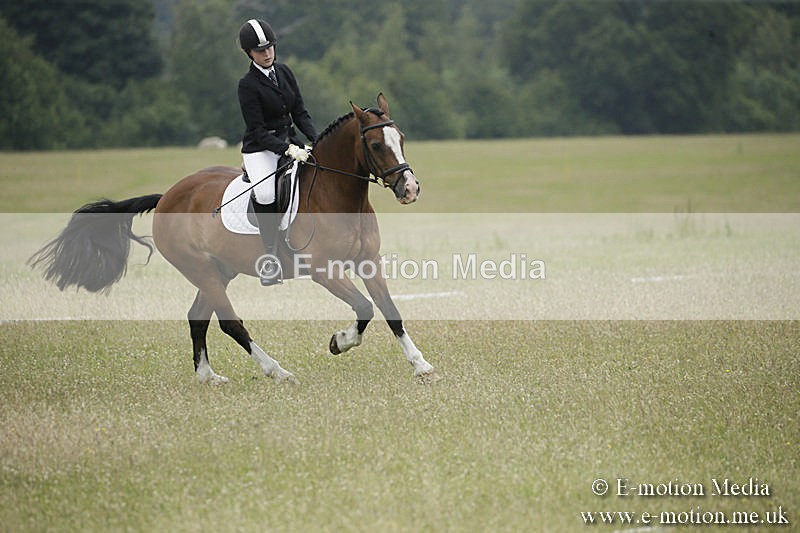 B230619-0670 - Bourne Valley Riding Club Summer Show 23/06/19