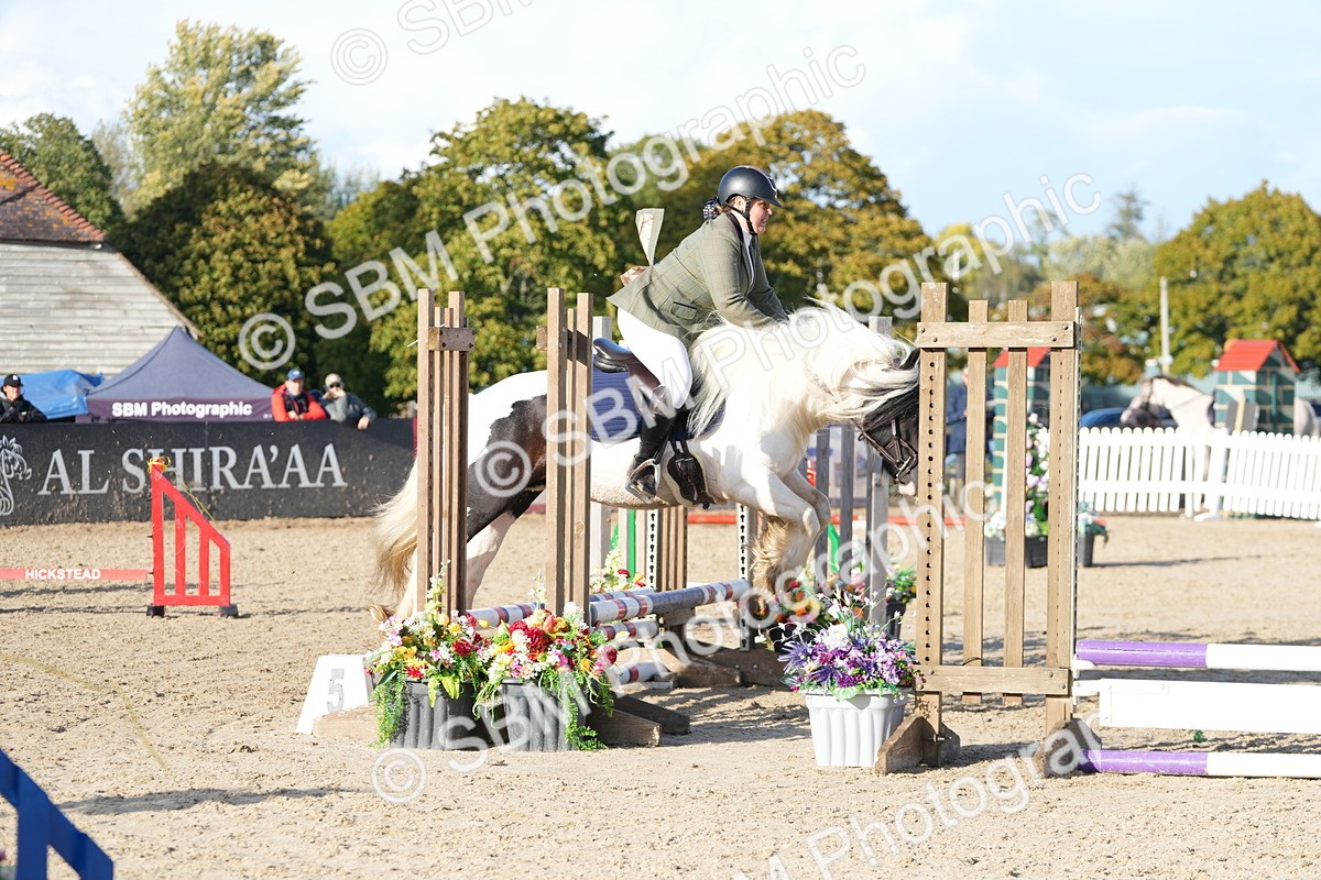 SBM_28976 - J43 - Horse & Hound Open 50cm