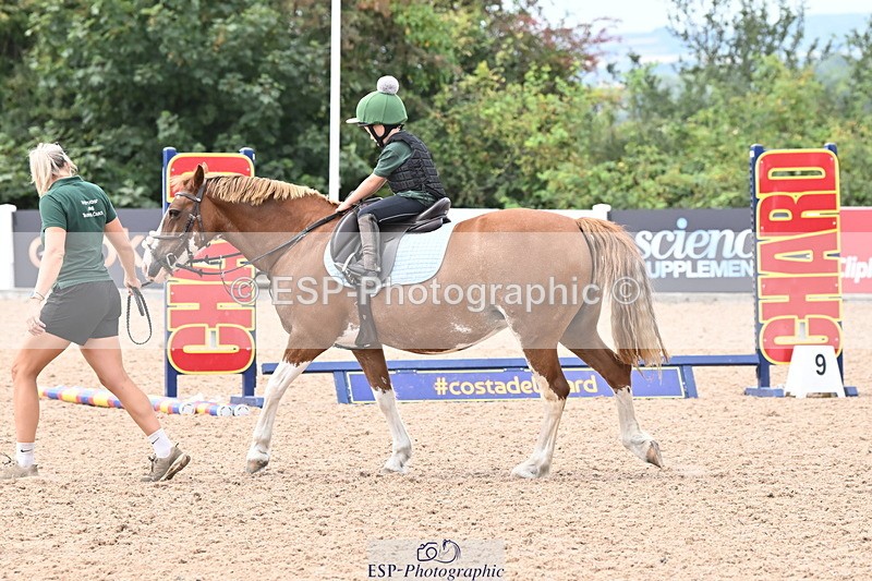 250821B-123538-00412 - Group D - Thomasina