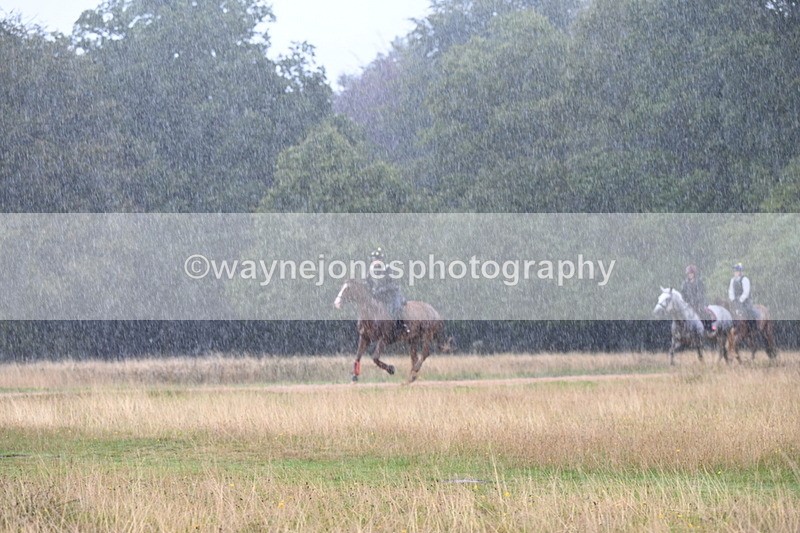DSC_3101 - Time at Statue 12:59 to 13:49