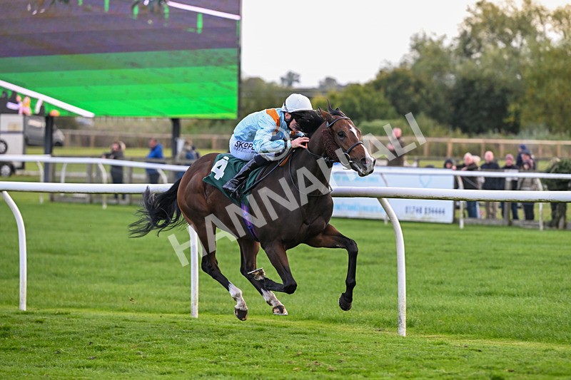 171026-Race 7-Lexington Blitz-6404 - Race 7 4.45pm William Hill Catterick Dash Handicap