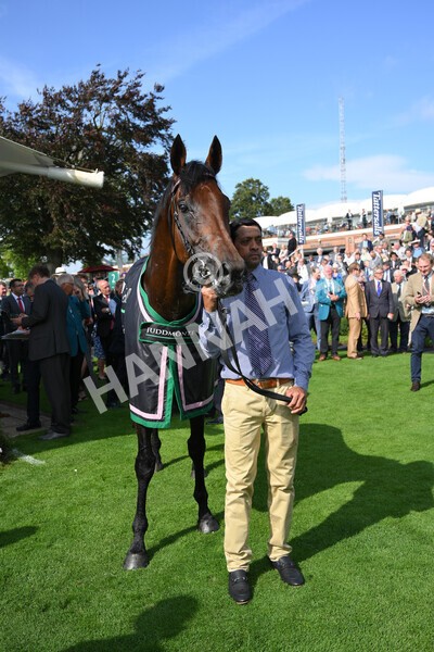 yr18082021r4-155 - Race 4 3.35pm Juddmonte International Stakes (British Champion Series race)