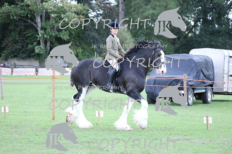 APP_3610 - Class 8 Ridden Class