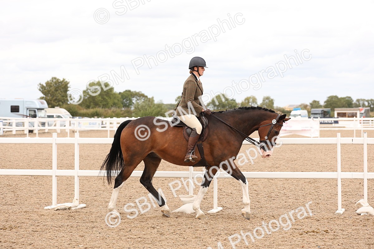 SBM_17201 - Class 213 - Ridden Hunter - Large