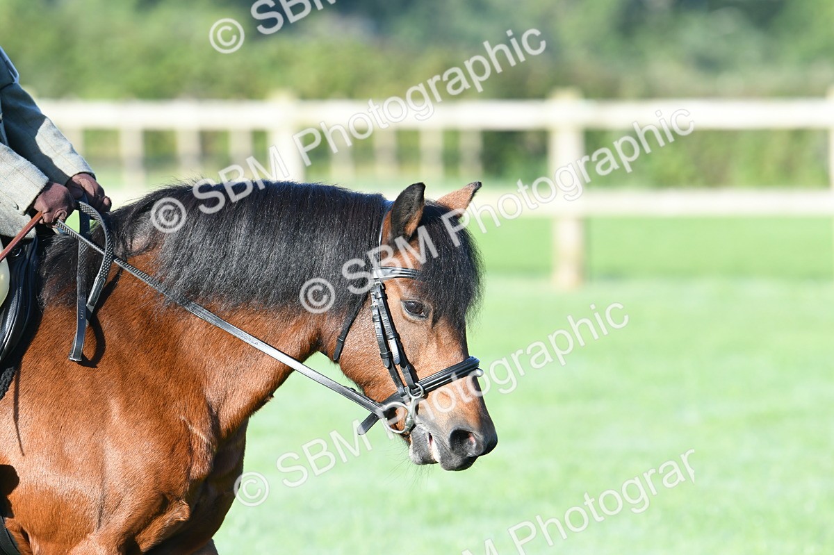 SBM_33887 - S16 - Condition & Turnout - Ridden