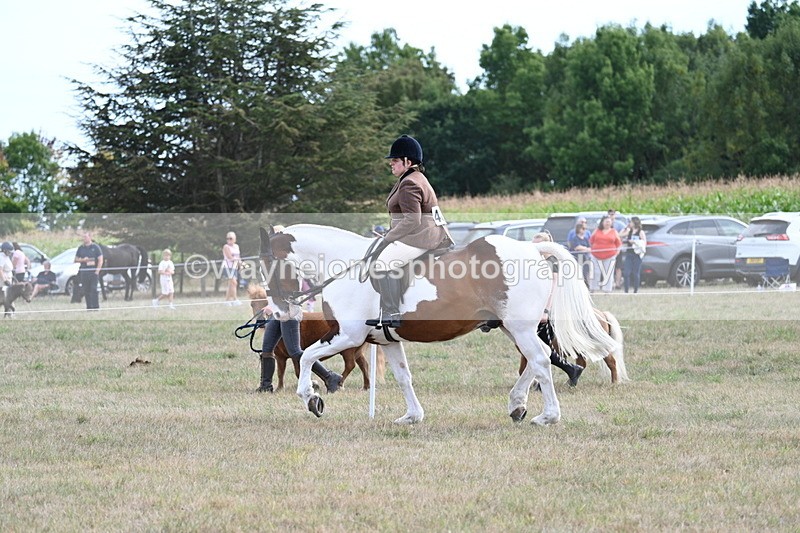 WJ7_7001 - Class 14 Ridden Coloured