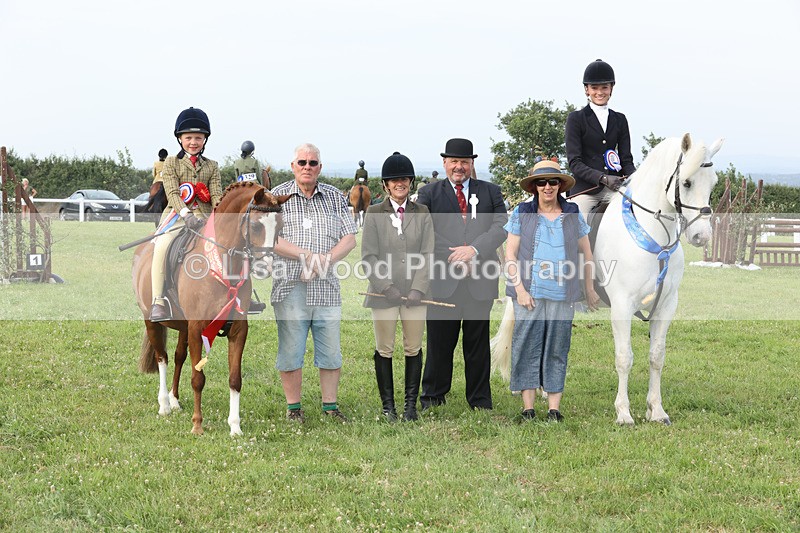 JPP_4813 - Working Hunter Championship