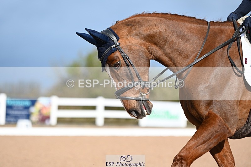 240323A-092444-00933 - MyQuest Intro A