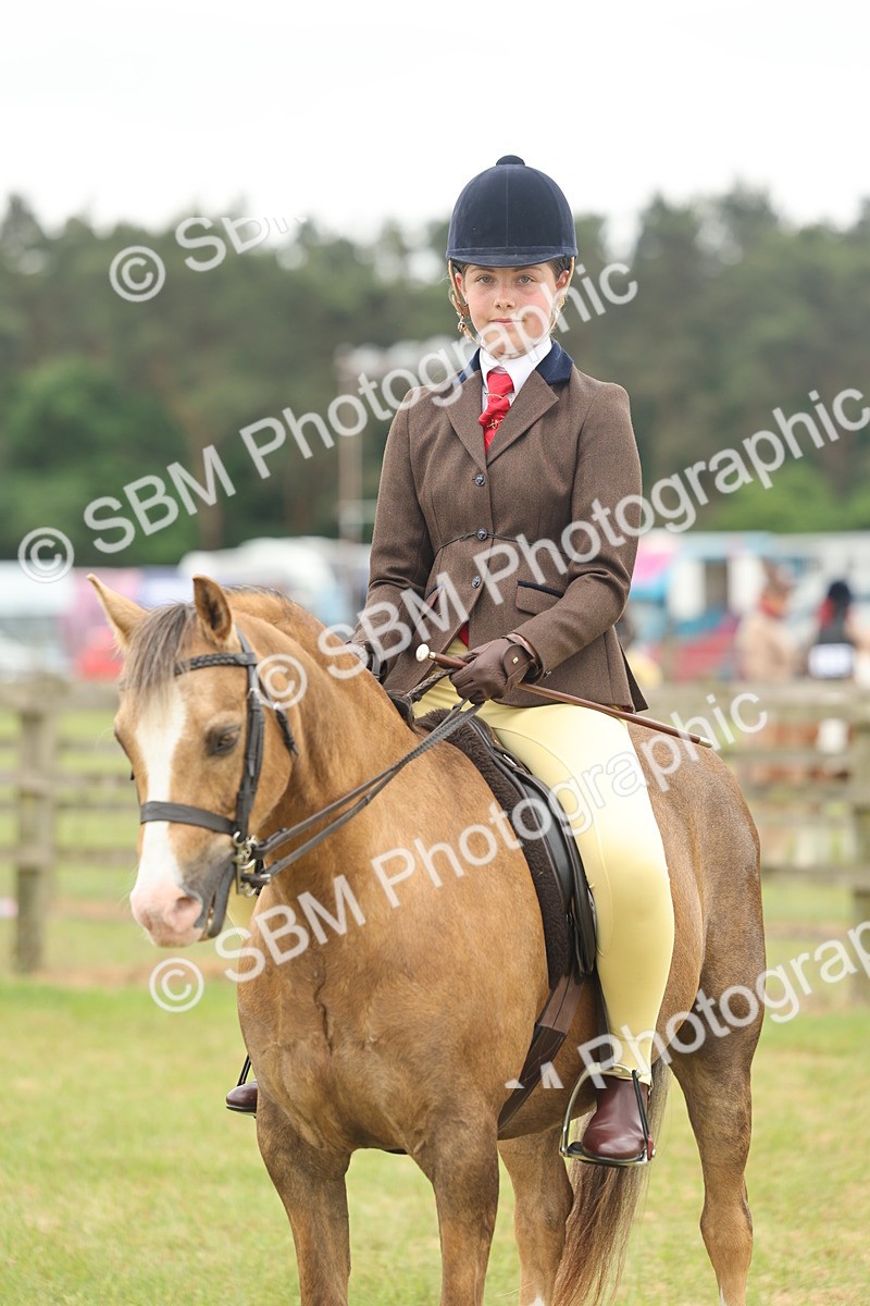 SBM_07131 - Class 76-77 - Ridden M&M Welsh Ponies