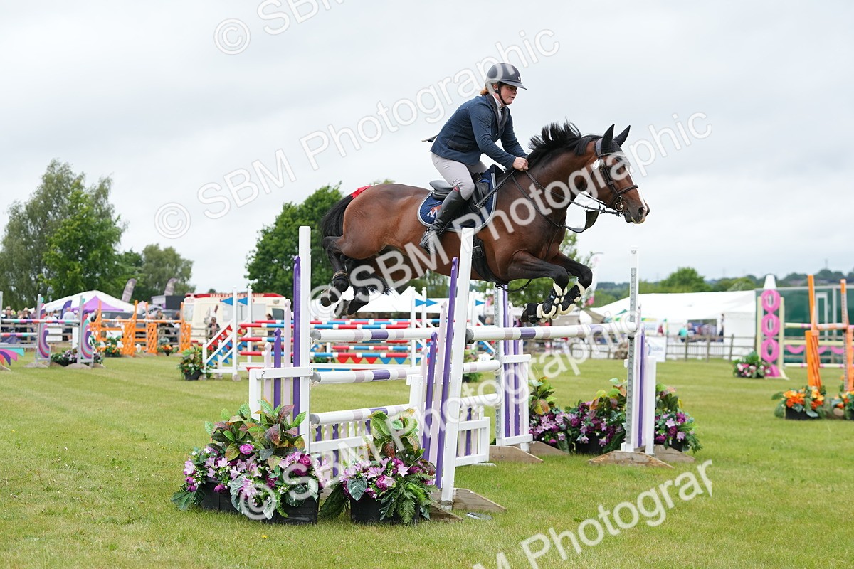SBM_03329 - Class 201 - British Horse Feeds Speedi Beet Horse of the Year Show Grade  C