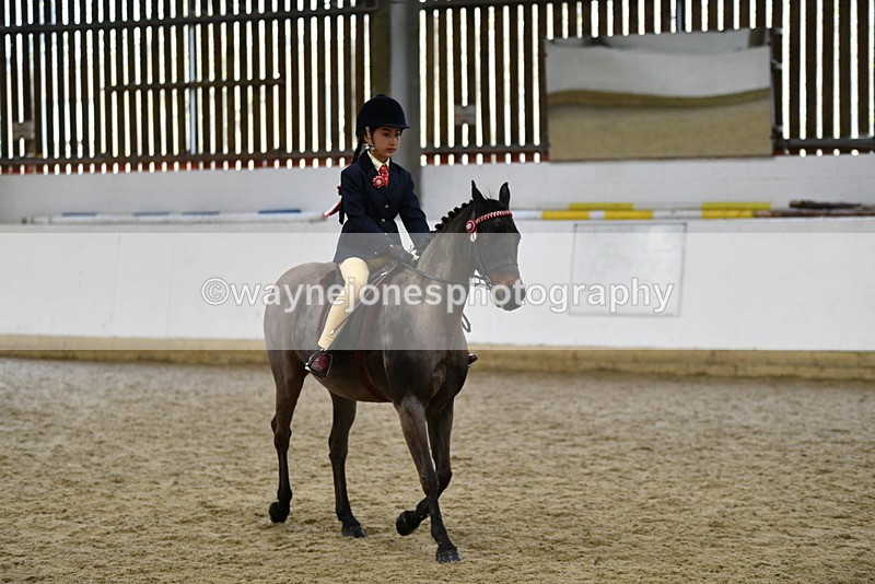 WJ5_6953 - Class 10 Childs Pony