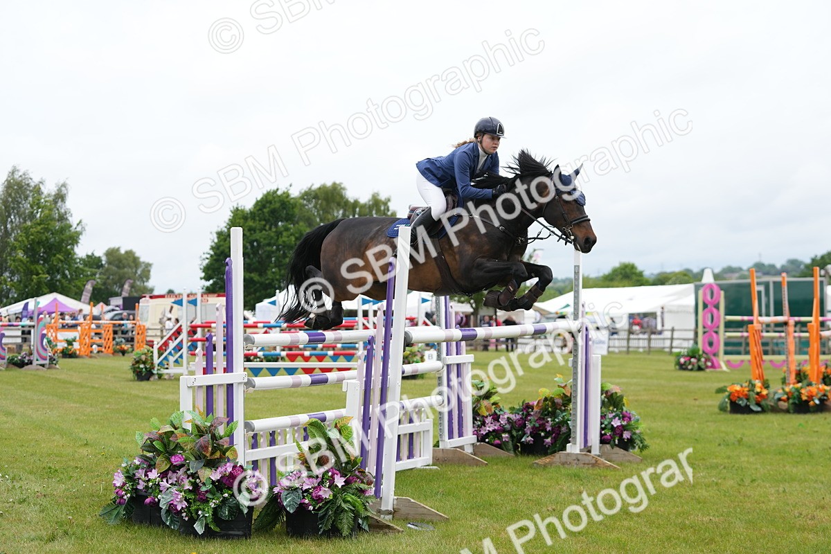 SBM_03038 - Class 201 - British Horse Feeds Speedi Beet Horse of the Year Show Grade  C