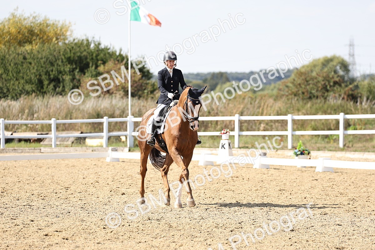 SBM_014919 - Class 7 - Medium 3