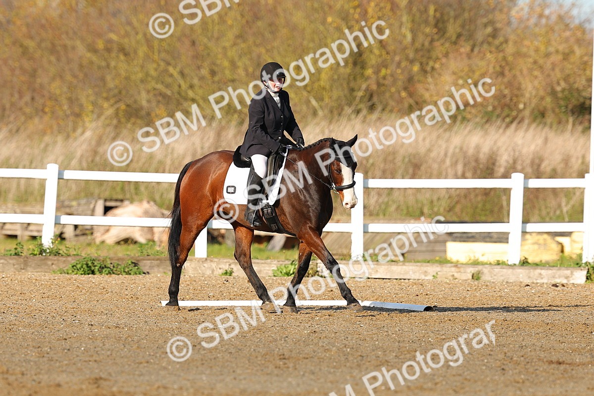 SBM_000540 - Novice 4