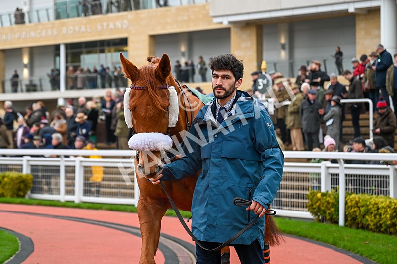 131224-Race 4-Izino DAiry-9661 - Race 4