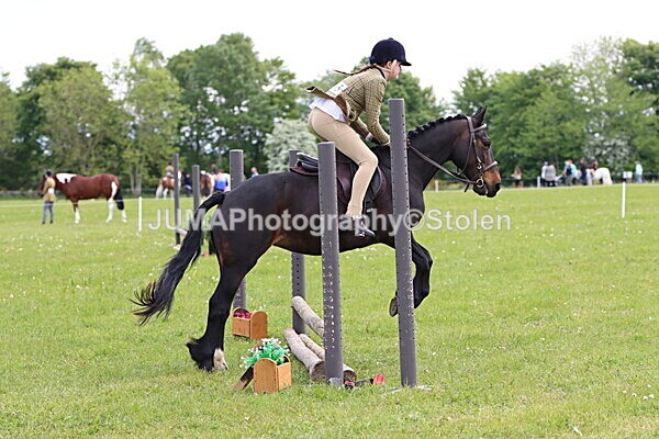 IMG_2469 - Working Hunter