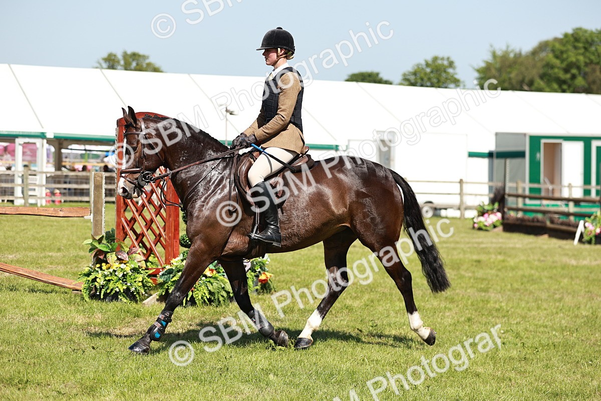 SBM_18393 - Class 112-113 - BSPS LIHS Working Sports Pony