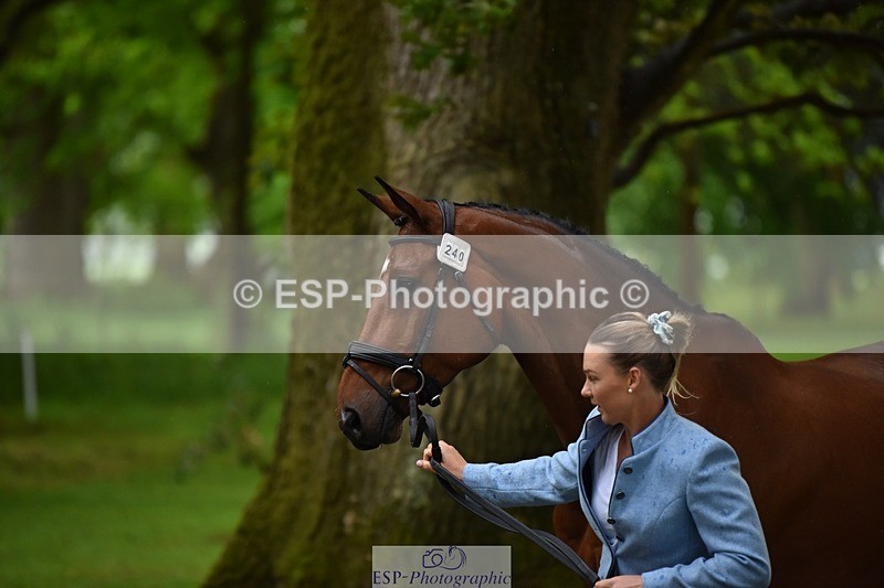 240522-162010-00840 - 240-KINDA_CORVETTE-Dani_Evans