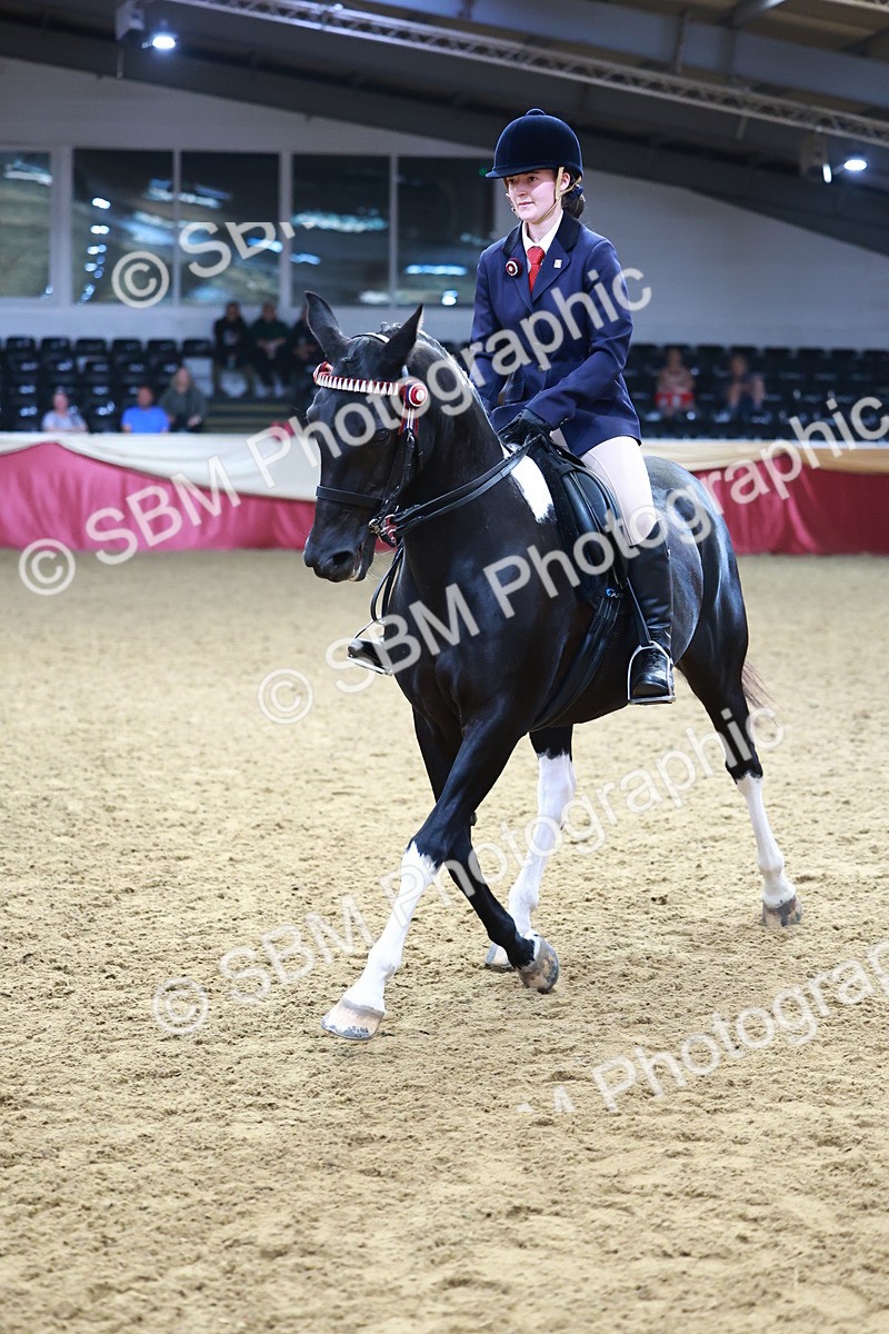 SBM_23393 - class 906 - Supreme Final - Ridden Pre Vet