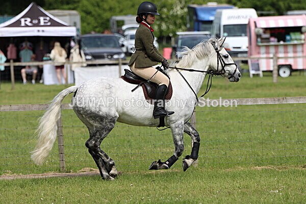 IMG_3094 - Working Hunter