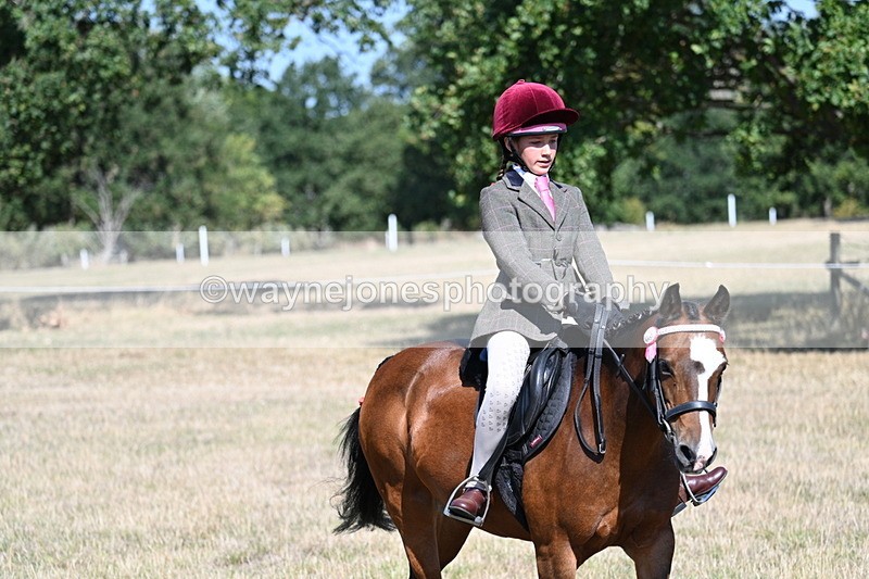 WJ7_4084 - Class 9 Mountain & Moorland Ridden