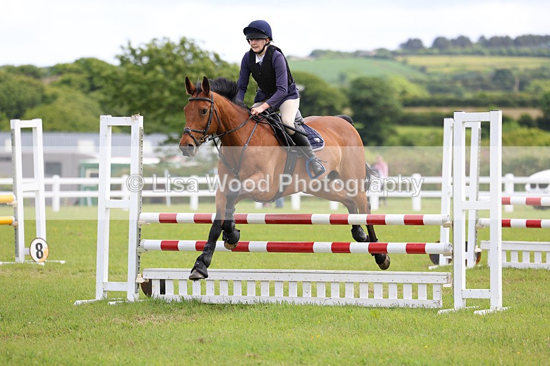 3E7A7619 - Class 13: Senior British Novice/90cm open