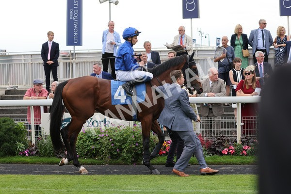 yr20082021r7-3 - Race 7 5.10pm Sky Bet Mile