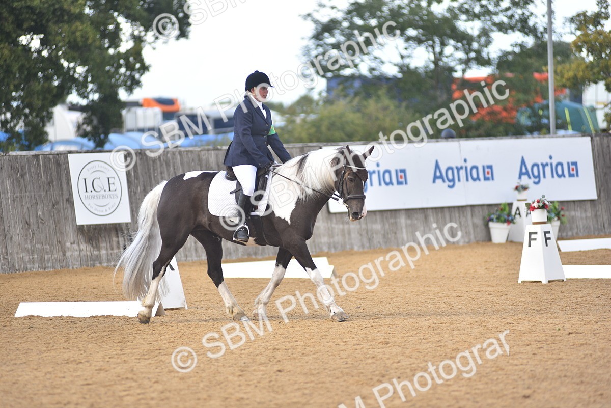 SBM_22404 - D13 - Grand Tour Championship Prelim 3