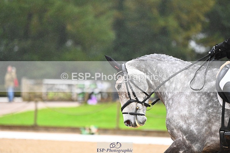 231021-102858-14682 - 336-SAUNDERSCOURT.AMBASSADOR-Adam.Trew-DR