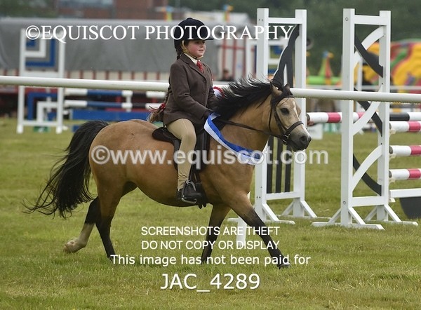 JAC_4289 - WORKING HUNTER CHAMPIONSHIP
