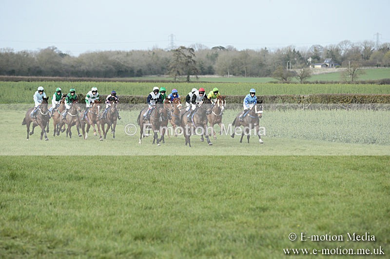 PtP 230319 398 - VWH Hunt Siddington Point-to-Point Racing 23/03/19