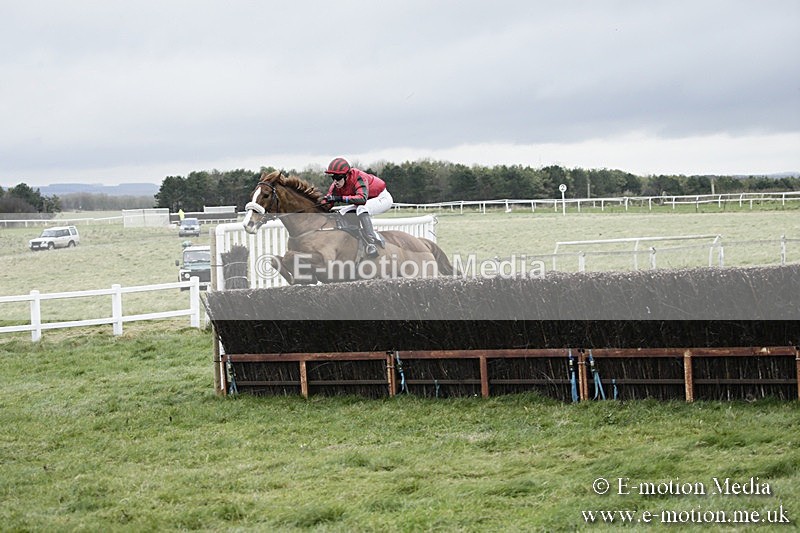 PtP 031217 162 - Hursley Hambledon Point-to-Point Larkhill 03/12/17