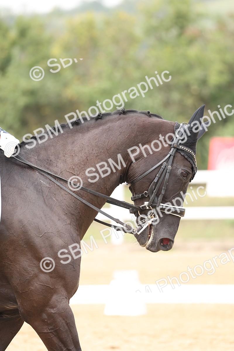 SBM_008335 - Class 10 - FEI INT I - 16.10-16.50