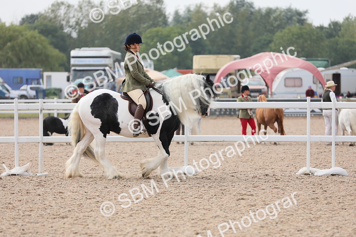 SBM_12652 - Class 307 Ridden Coloured Pony