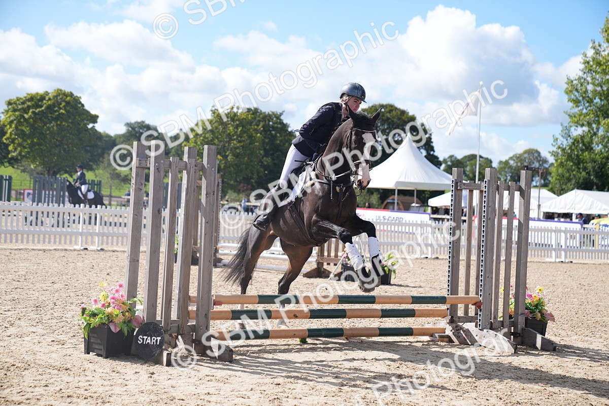 SBM_02536 - J54 Clear Round 45cm