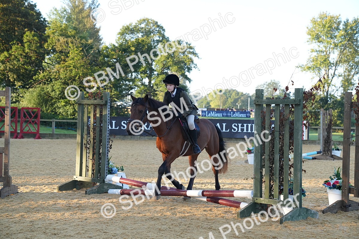 SBM_58866 - J63 - Minis Clear Round 30cm 40cm