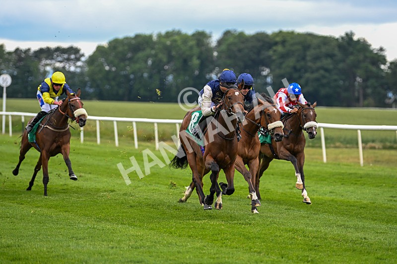 170625-Race 1-Royal Fixation-4334 - Race 1