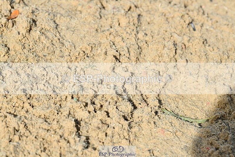 251004A-115015-00773 - Classes 4 & 5 50cm