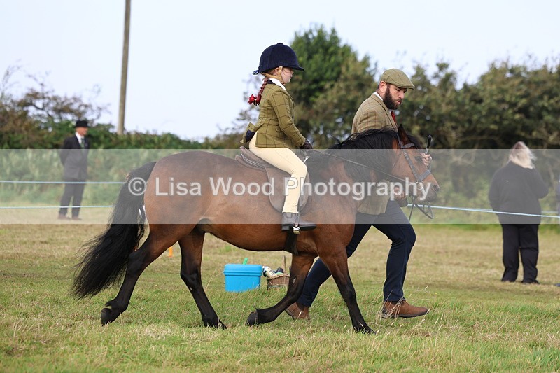 3E7A3557 - Class 2: Lead rein