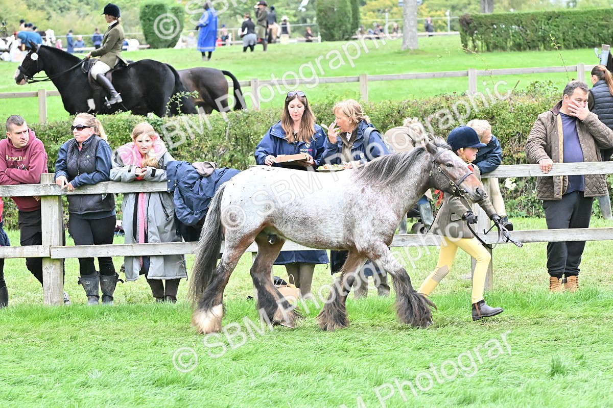 SBM_68558 - S42 - Junior Handler 9-12 Years