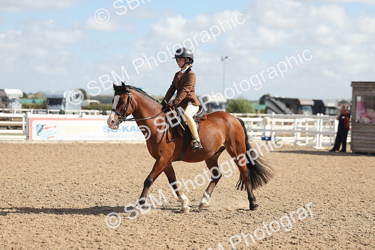 SBM_23096 - Class 806 - Young Rider 10ry and Under