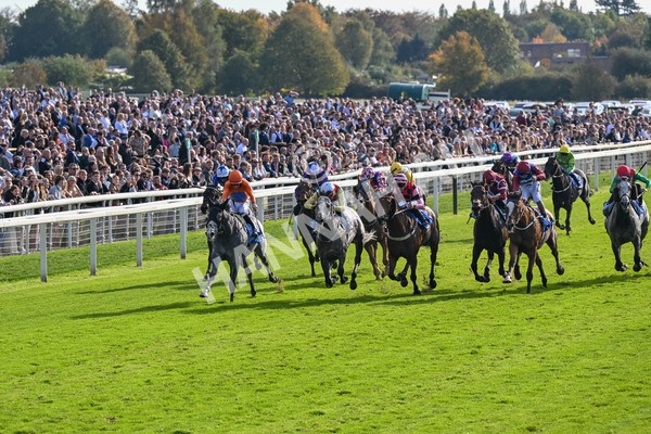 111025-Race 2-Grey Cuban-8282 - Race 2 Coral 'Pipped At The Post' Handicap at York