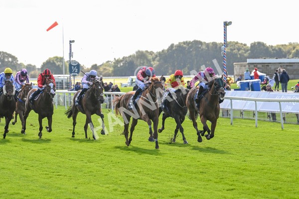 111024-Race 1-Empirestateofmind-1313 - Race 1 1.30pm William Hill Top Price Guarantee Autumn Handicap