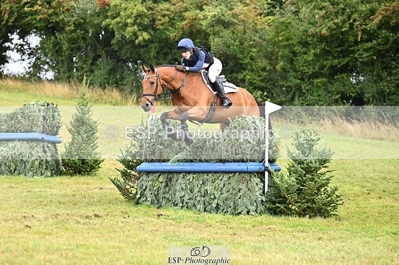 TS_b1048064 - SAT BE 90 Recovered Files fence 8