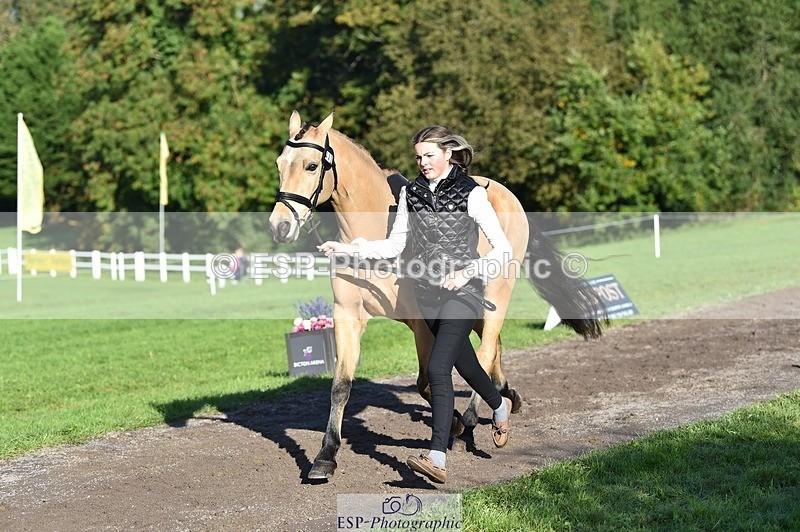 231022-103012-22527 - 442-BICTON.INCREDIBLY.DUN-millie.jo.challinor-TrotUp+SJ