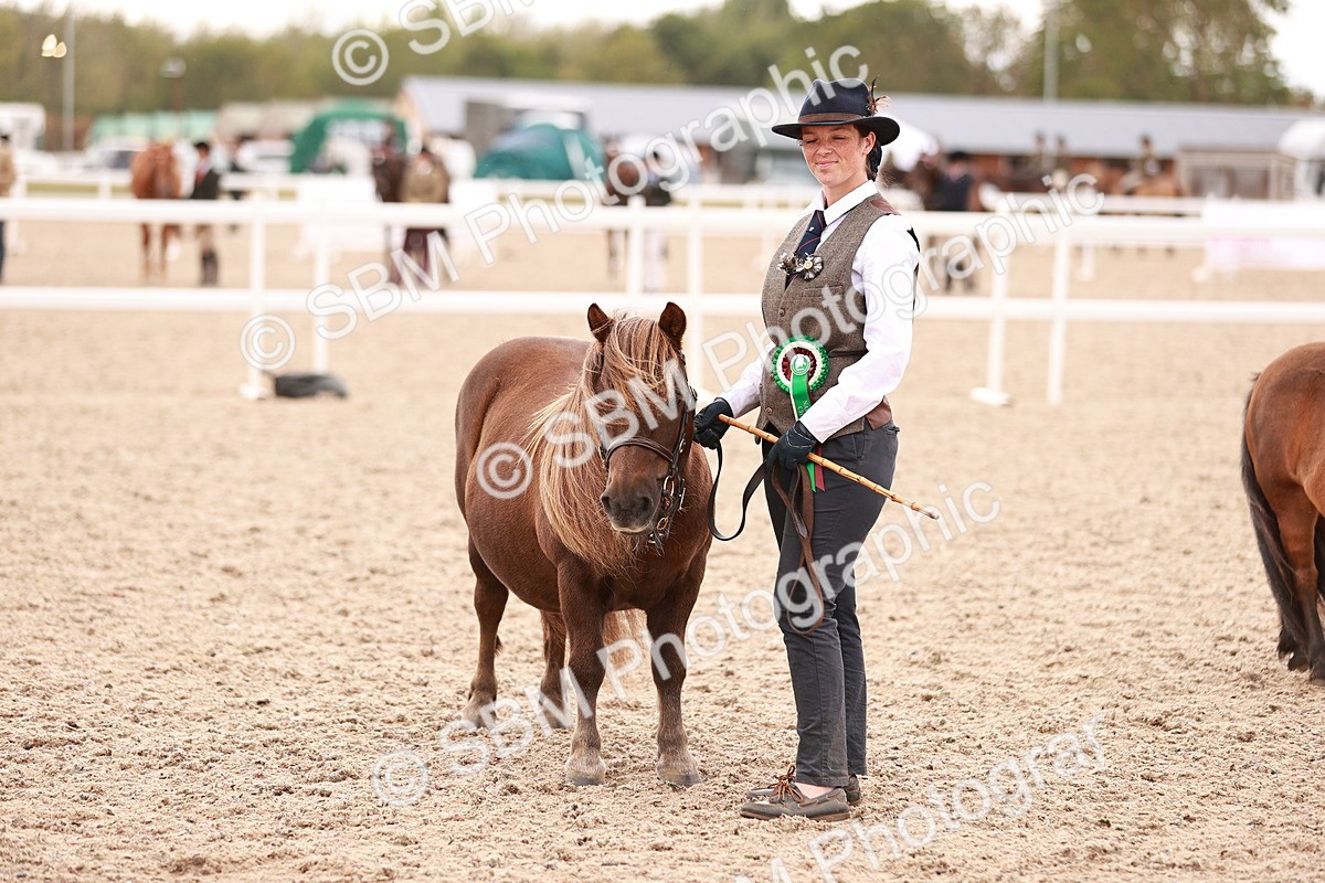 SBM_16940 - Class 415 - Horse-Pony Judge would most like to take home