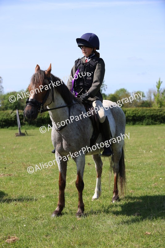 20250427-2527 - Class 19 - Mini Working Hunter