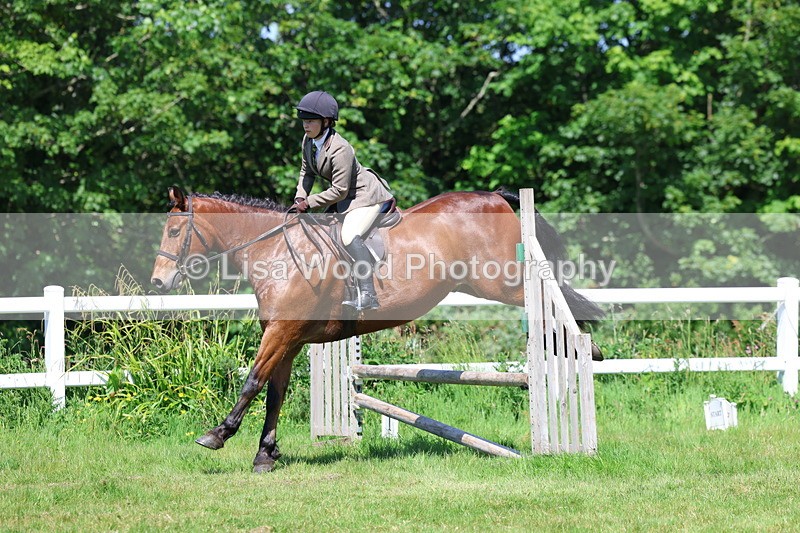 3E7A6953 - Class 30: Novice Working Hunter