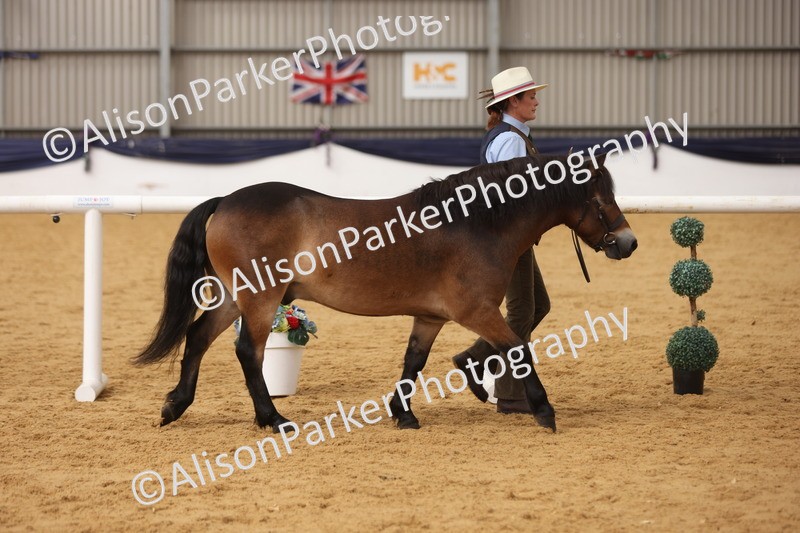 20260913-1692 - Class 115 - Gelding 4years and over