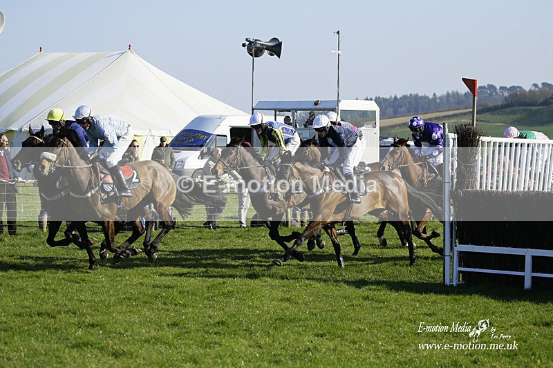 PtP 190322 681 - Wilton Hunt PtP Milborne St Andrew 19/03/22
